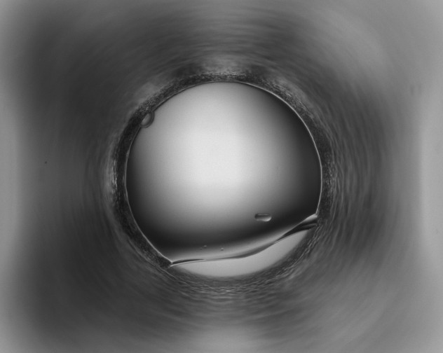 X0000093220731200710171359