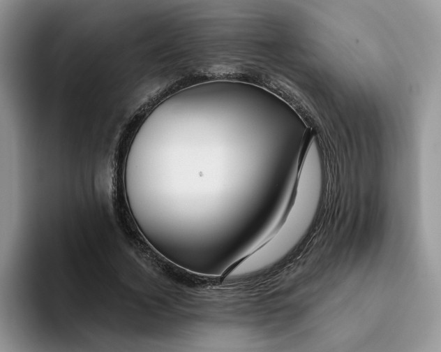 X0000093220732200710171359