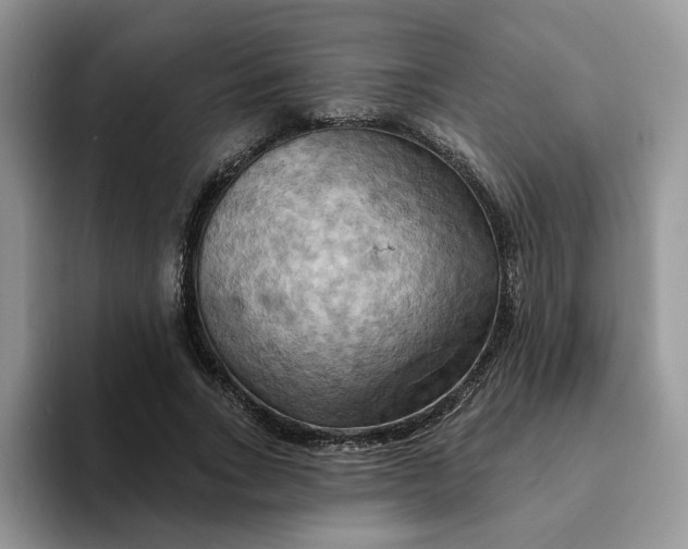 X0000093220735200710171359