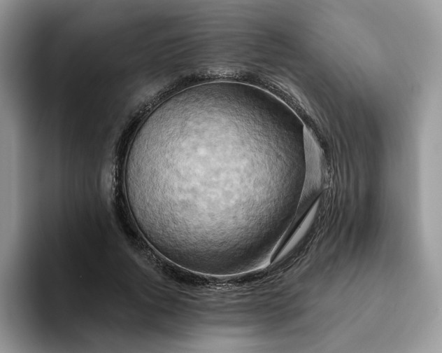 X0000093220736200710171359