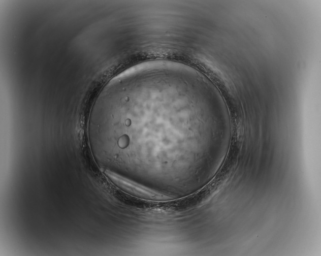 X0000093220737200710171359