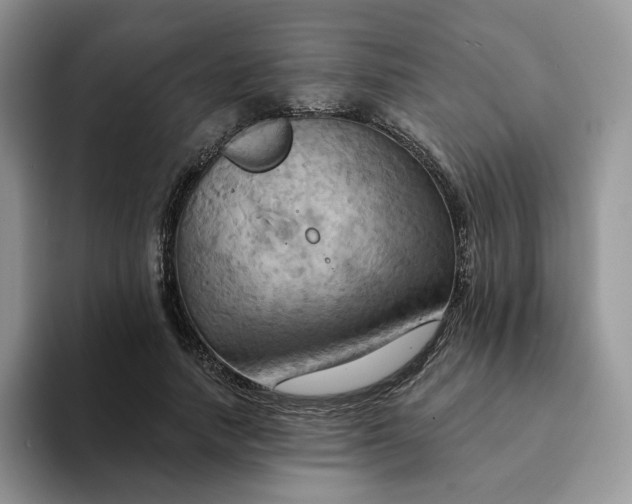 X0000093220738200710171359