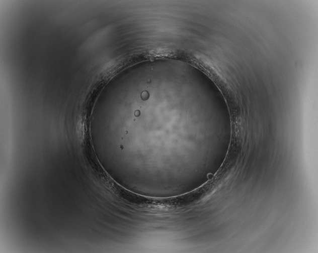 X0000093220741200710171359