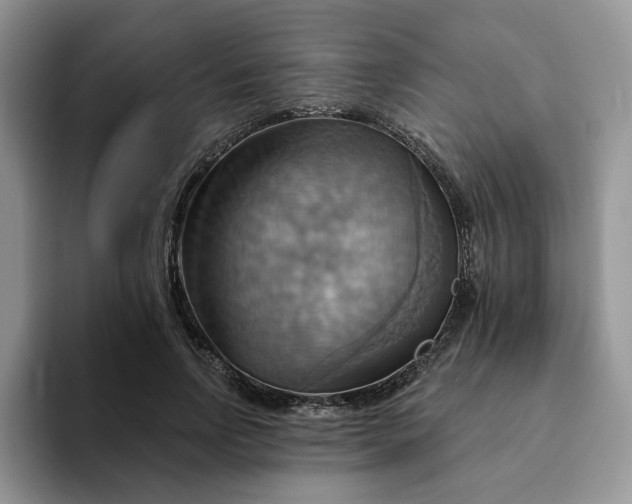 X0000093220742200710171359