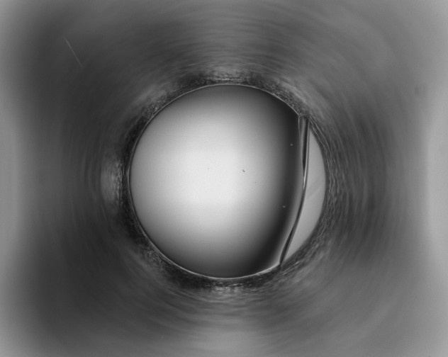 X0000093220744200710171359