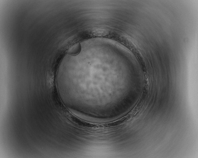 X0000093220745200710171359