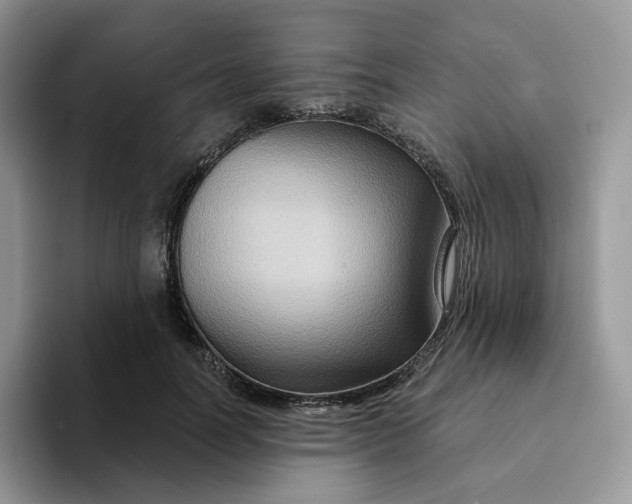 X0000093220746200710171359