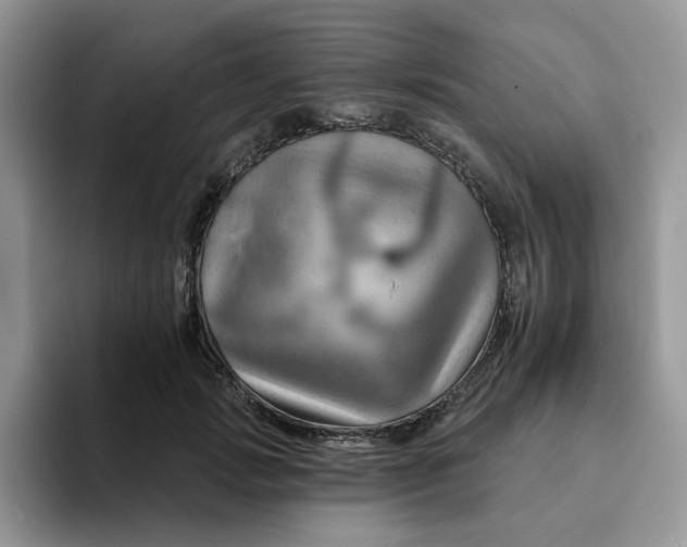 X0000093220749200710171359