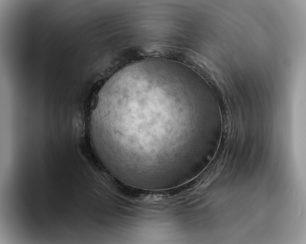 X0000093220751200710171359