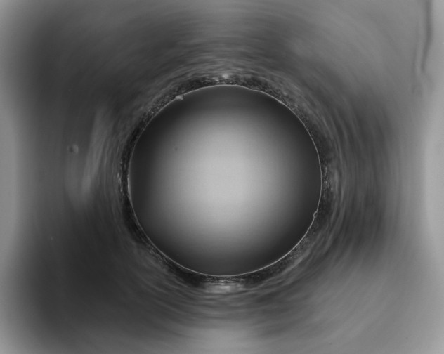 X0000093220754200710171359