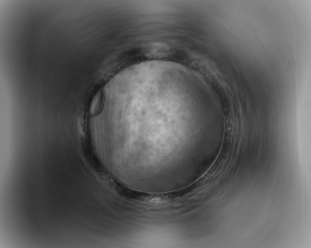 X0000093220755200710171359