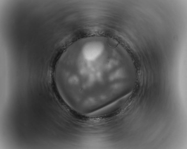 X0000093220757200710171359