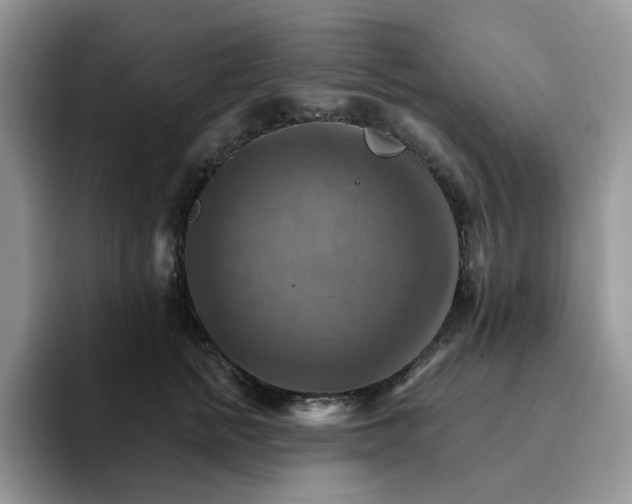 X0000093220758200710171359