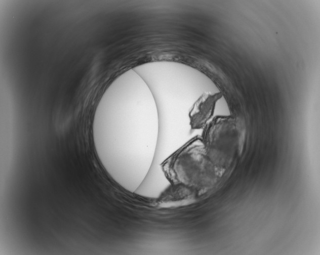 X0000093220761200710171359