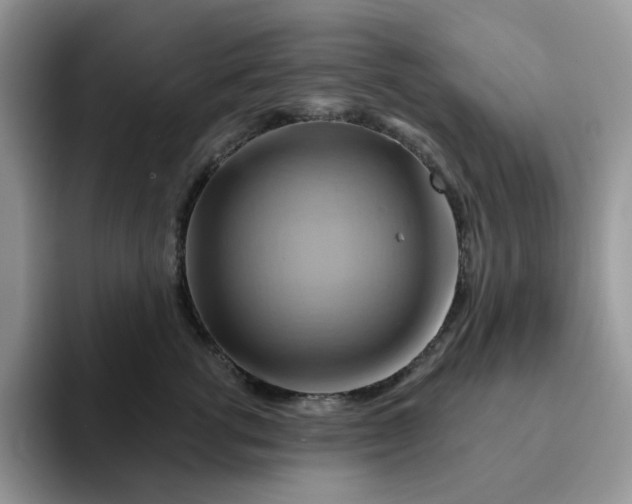 X0000093220762200710171359