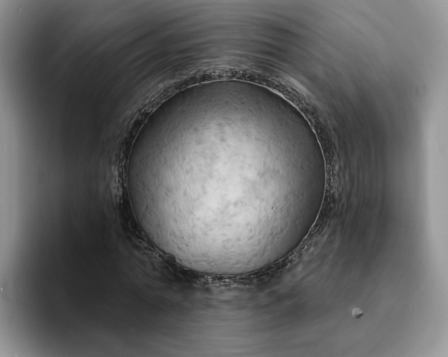 X0000093220774200710171359