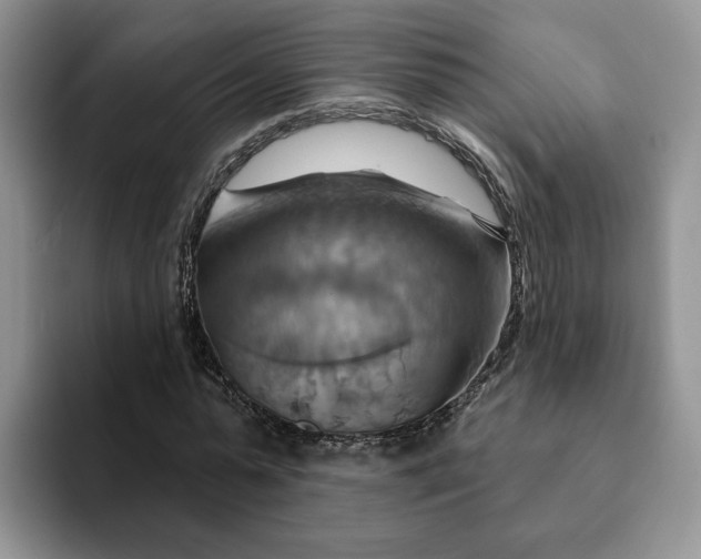 X0000093220775200710171359