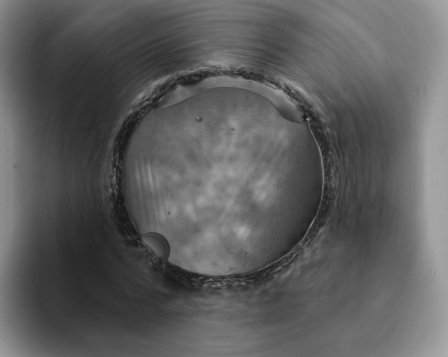 X0000093220776200710171359