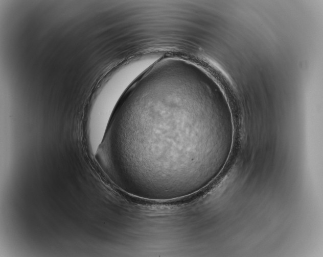 X0000093220777200710171359