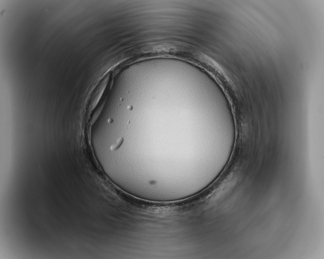 X0000093220778200710171358