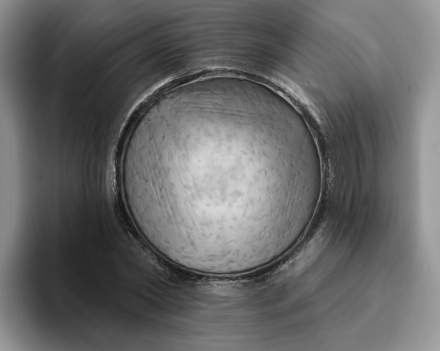 X0000093220782200710171358