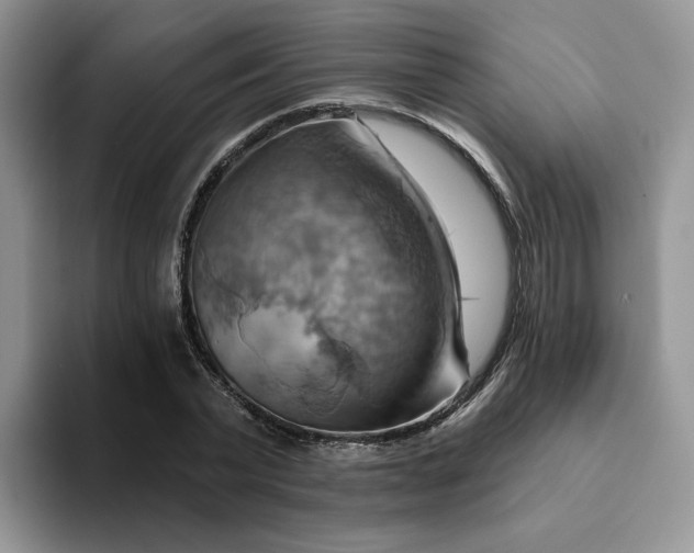 X0000093220783200710171358