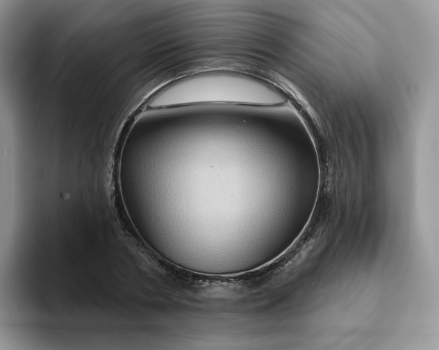 X0000093220786200710171358