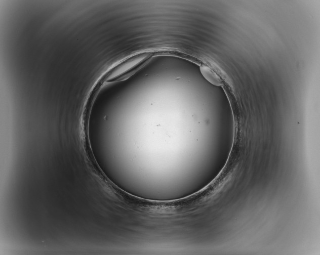 X0000093220789200710171358