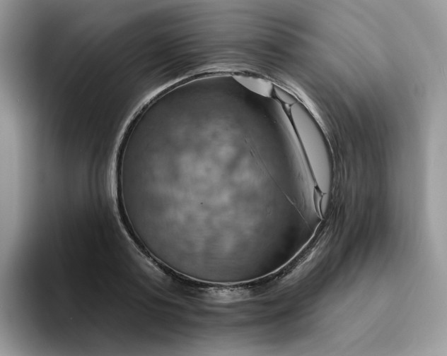 X0000093220795200710171358