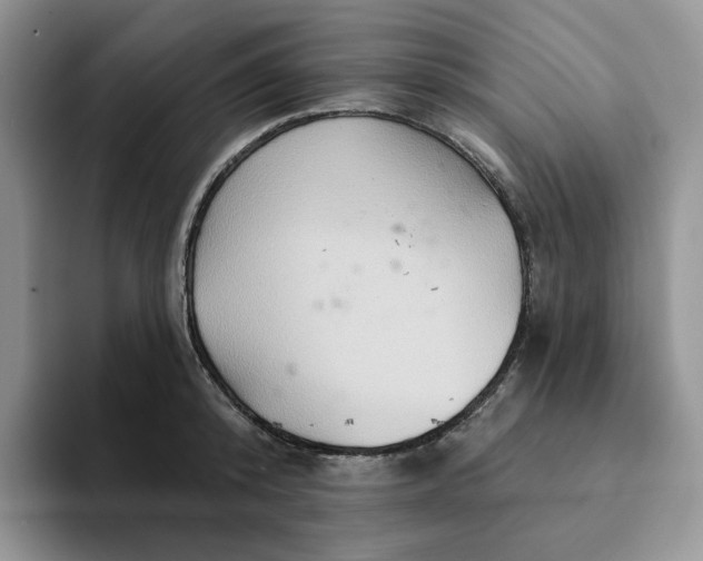 X0000093220800200710171358