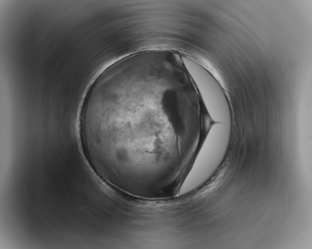 X0000093220803200710171358