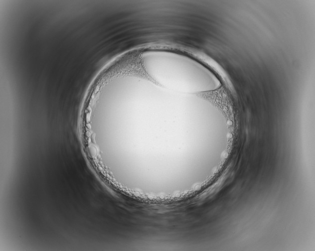 X0000093220807200710171358