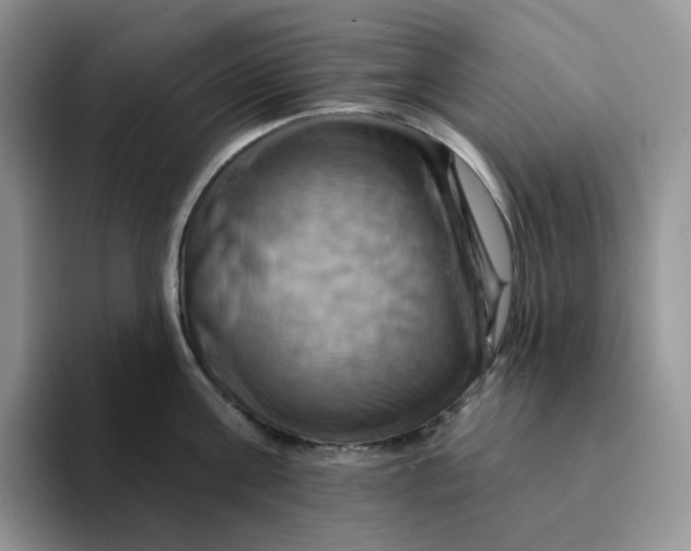 X0000093220811200710171358