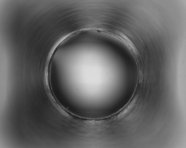 X0000093220812200710171358