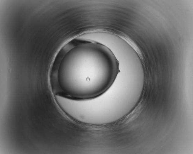 X0000093220813200710171358