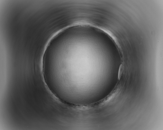 X0000093220815200710171358