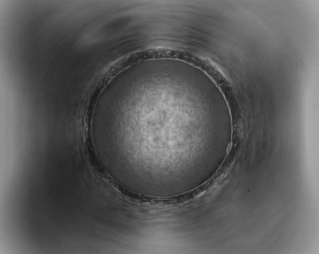 X0000093220821200710171358