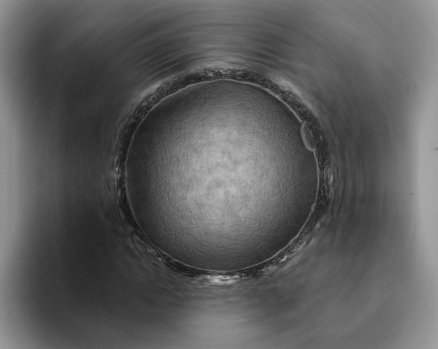 X0000093220822200710171358