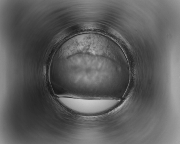 X0000093220825200710171358