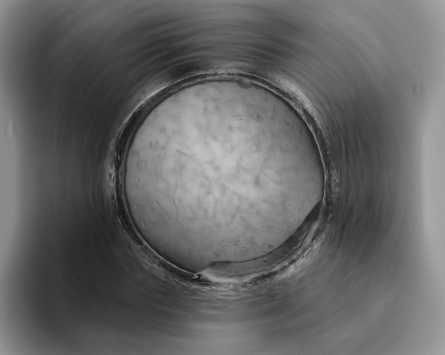 X0000093220827200710171358