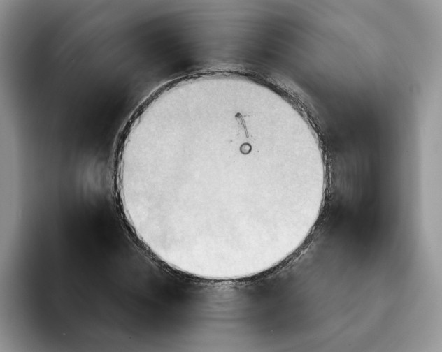 X0000093220828200710171358