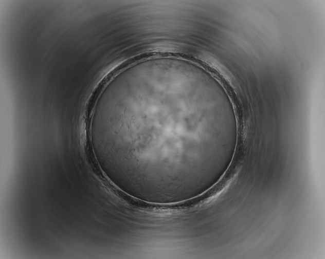 X0000093220829200710171358