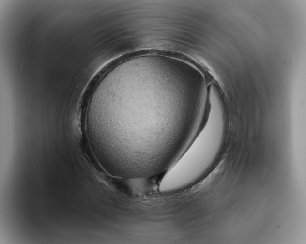 X0000093220830200710171358