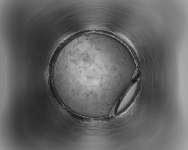 X0000093220831200710171358