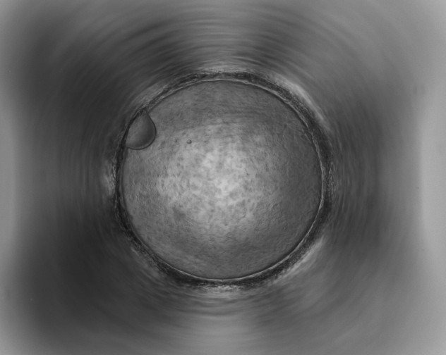 X0000093220833200710171358