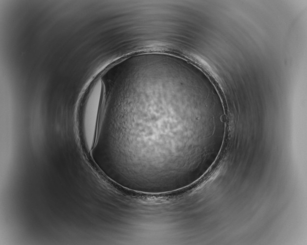 X0000093220835200710171358