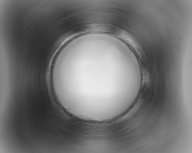 X0000093220836200710171358