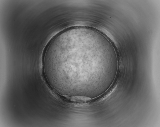 X0000093220837200710171358