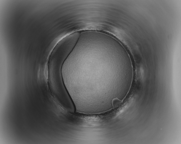 X0000093220838200710171358