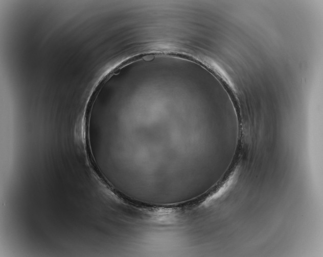 X0000093220839200710171358